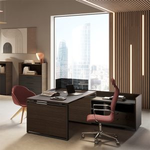 Ring Executive